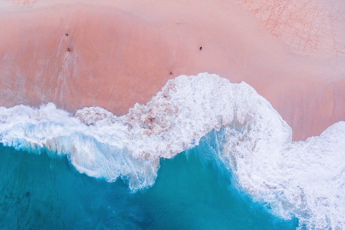 Pink Sands of Komodo Island